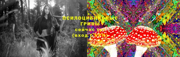mdpv Арсеньев