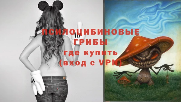 mdpv Аркадак