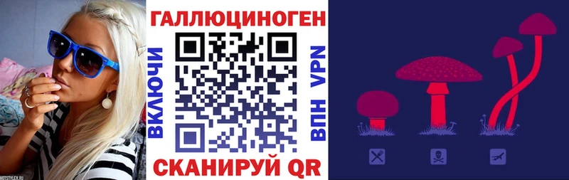 Псилоцибиновые грибы GOLDEN TEACHER  Слободской 